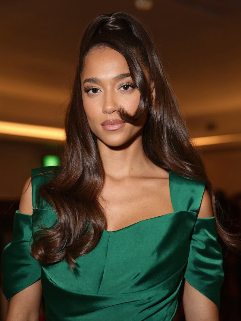 Long dark hair in a glam high ponytail with curled ends