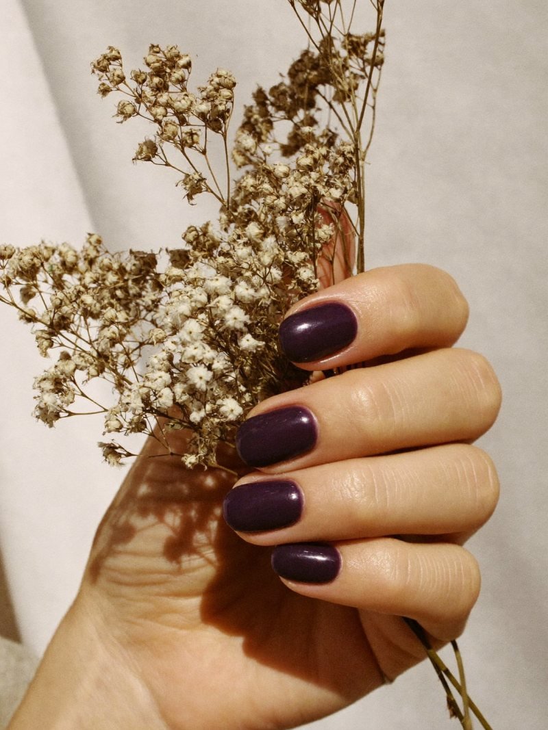 Short oval nails in deep plum purple