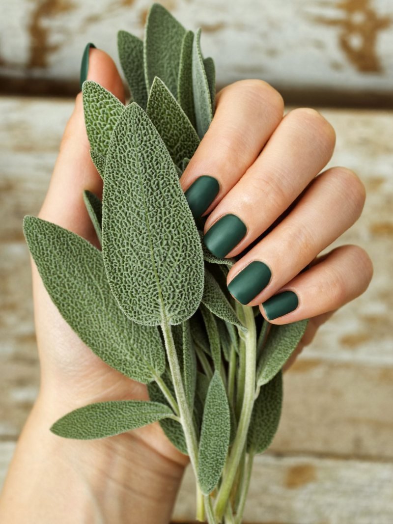 Short square nails in deep sage green